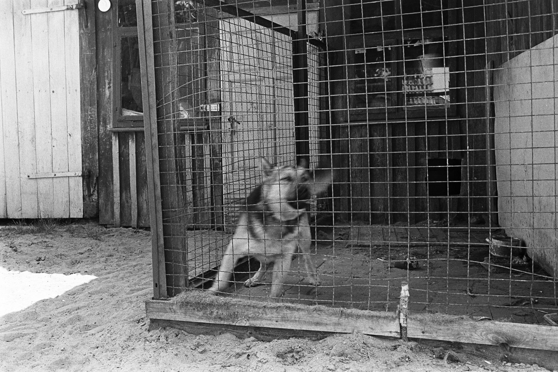 © Conny Höflich, aus der Arbeit "Bye-bye, Belyn"