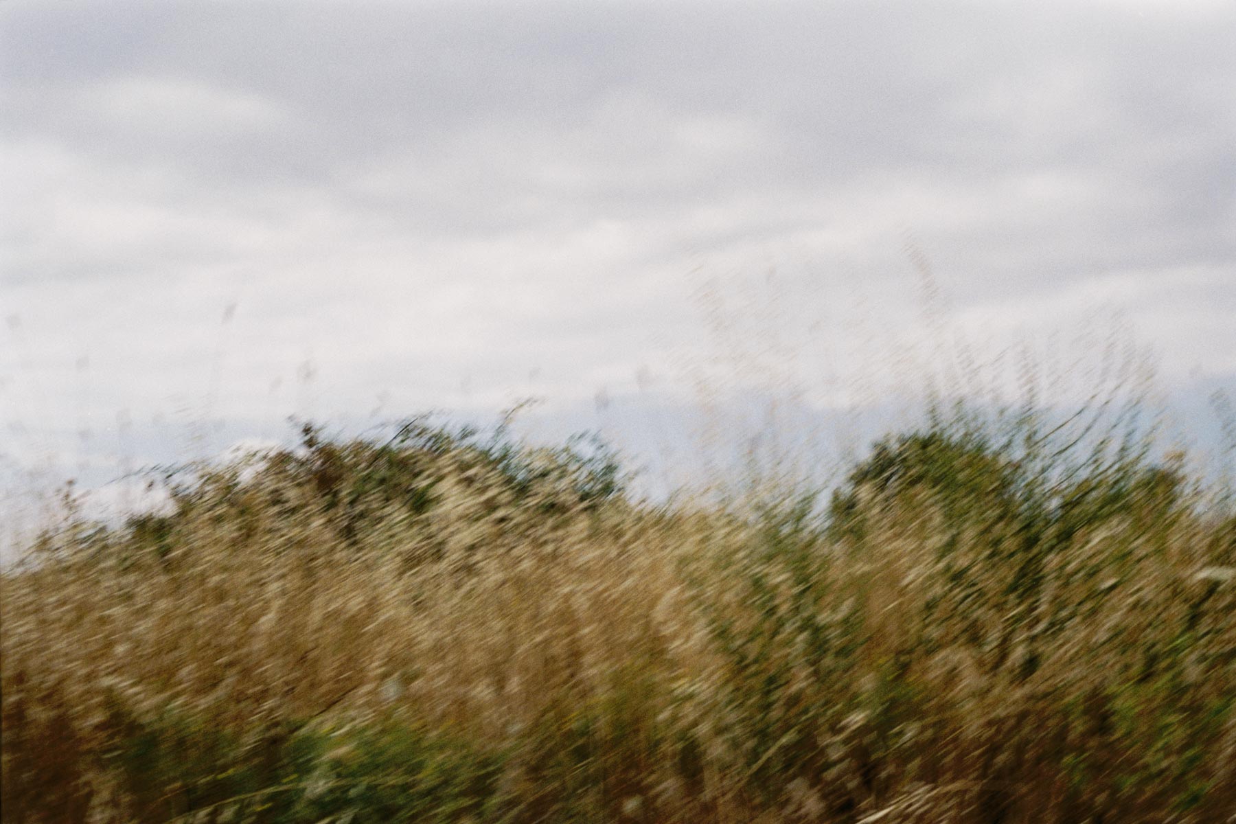 © Conny Höflich, aus der Arbeit "da denk ich, dass ich fliegen kann"