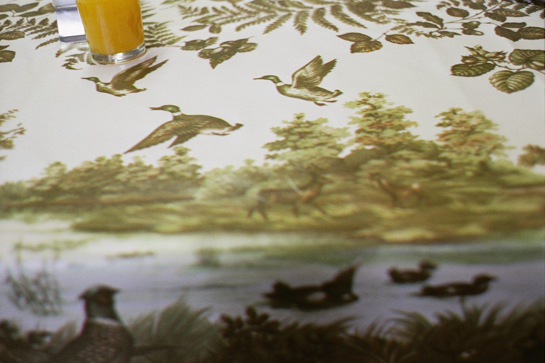 © Conny Höflich, aus der Arbeit "Die Besucher"