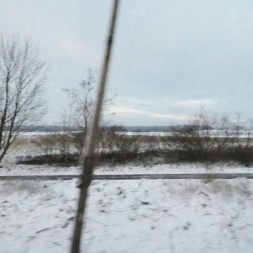 © Conny Höflich, aus der Arbeit "hier bin ich geboren", in progress