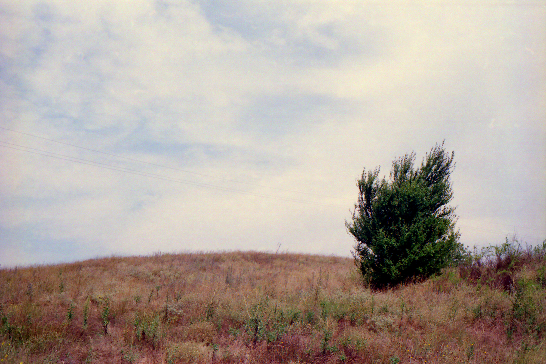 © Conny Höflich, aus der Arbeit "Sommerreise"