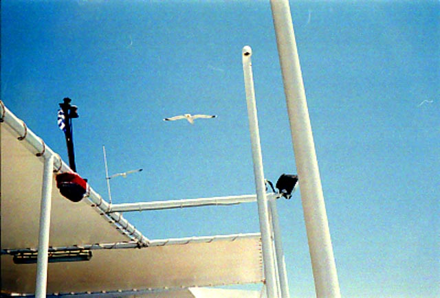 © Conny Höflich; aus "Sommerreise" (Arbeitstitel, work in progress)