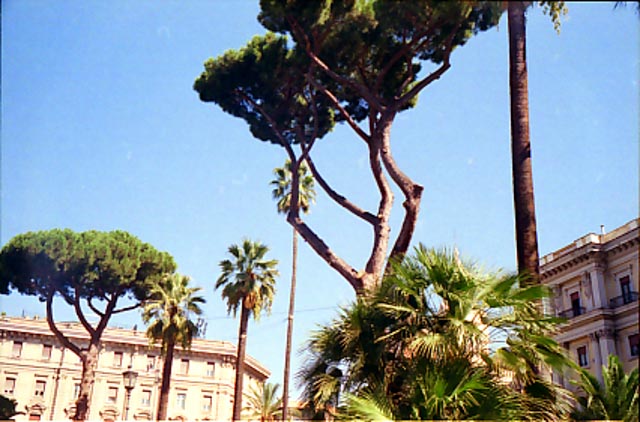 © Conny Höflich; aus "Sommerreise" (Arbeitstitel, work in progress)