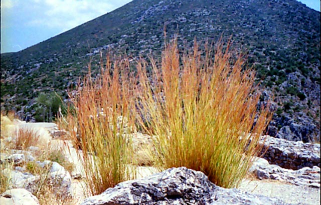 © Conny Höflich; aus "Sommerreise" (Arbeitstitel, work in progress)