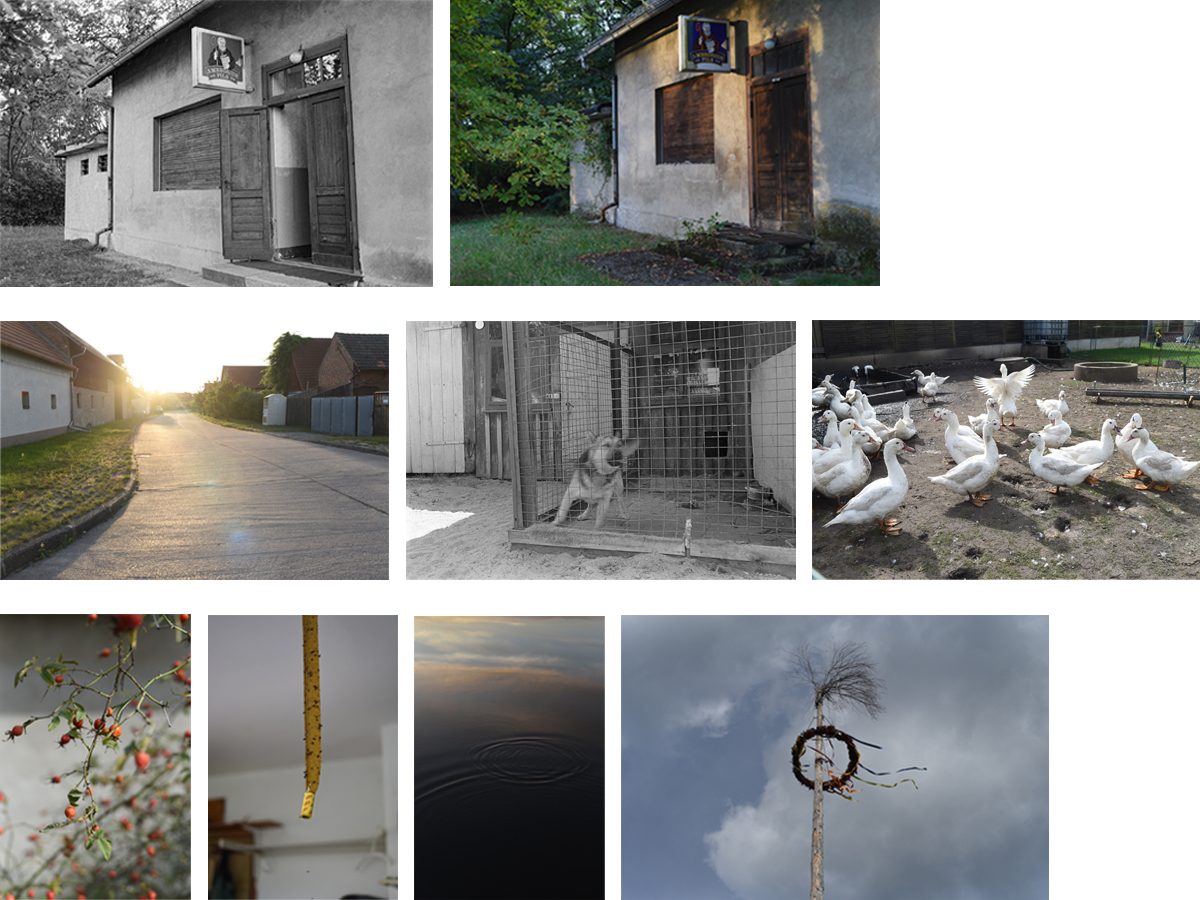 Hello again, 2023, Tafelbild