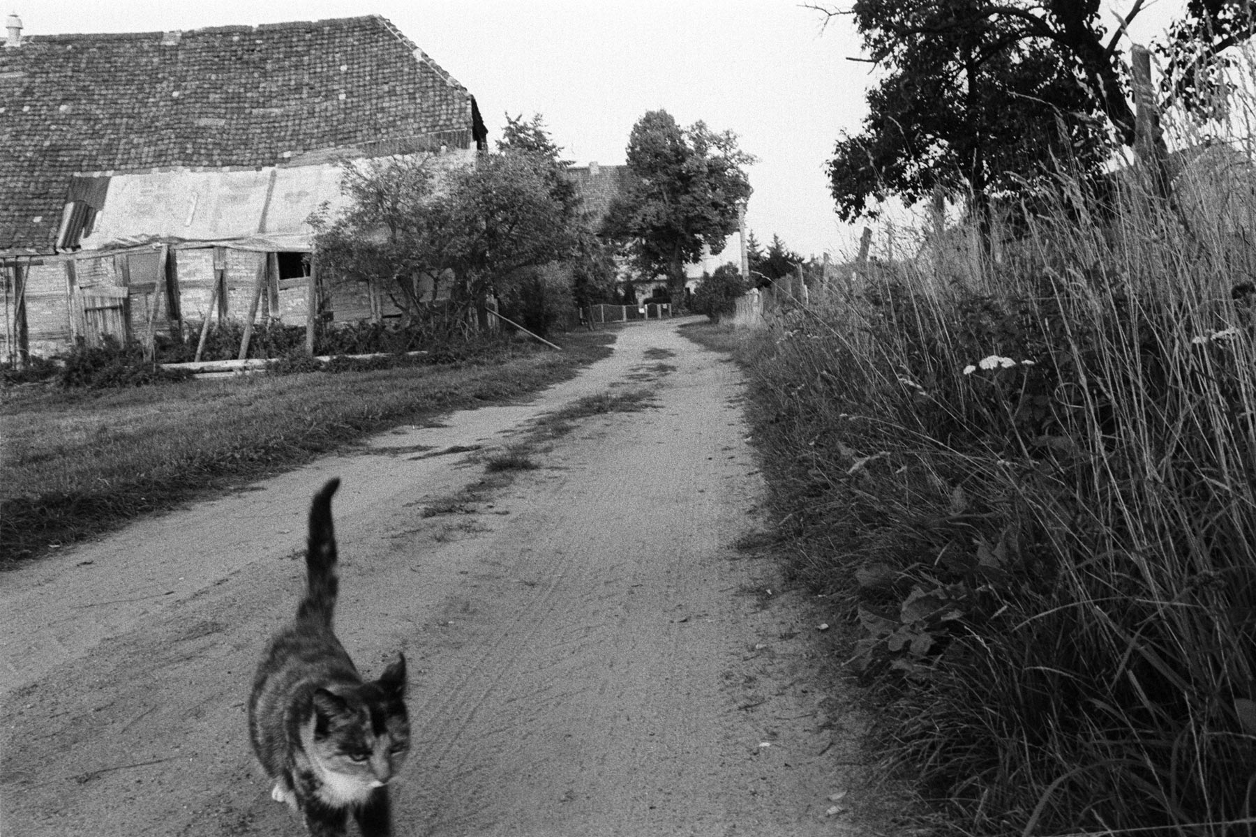 © Conny Höflich, aus der Arbeit "Bye-bye, Belyn"