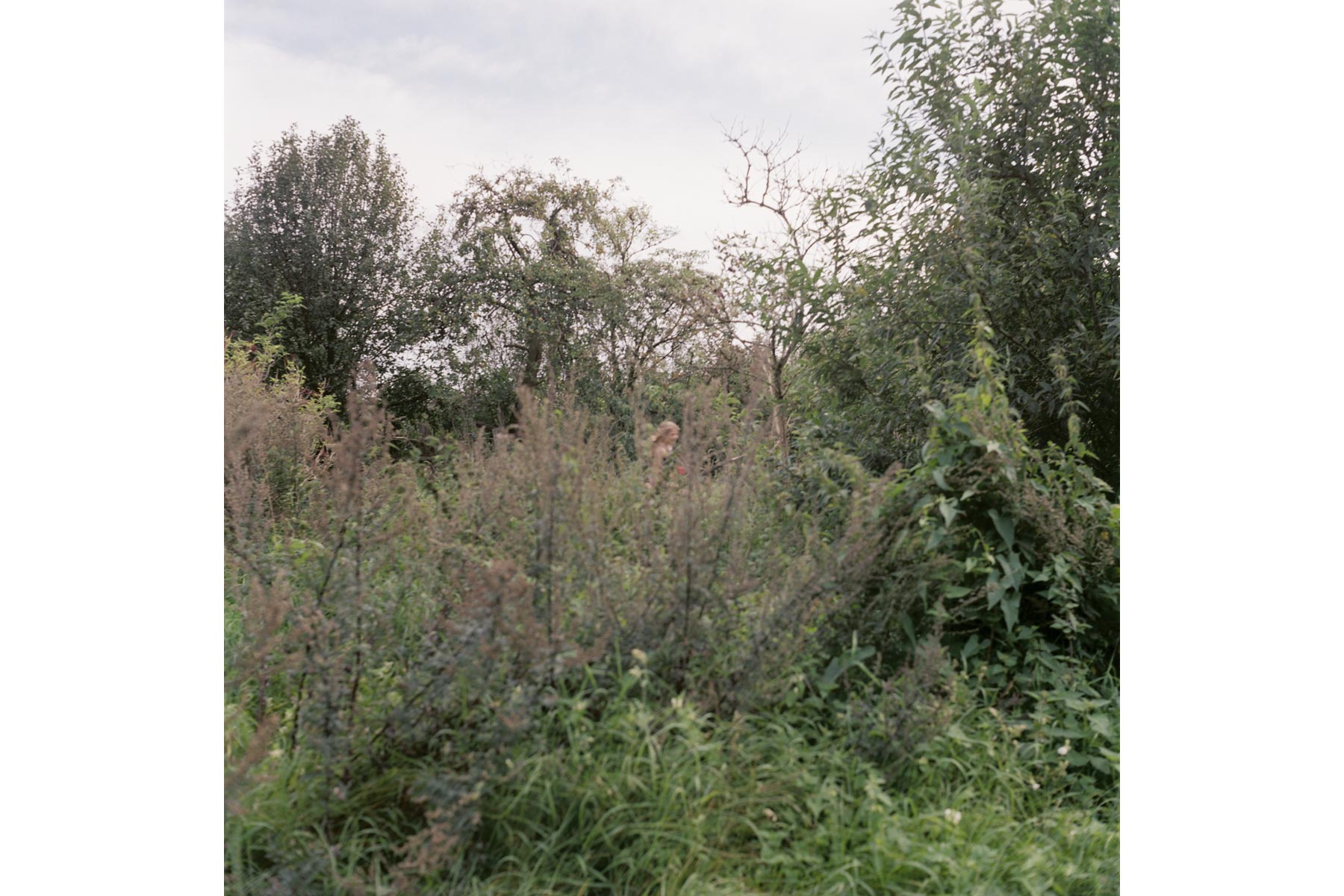 © Conny Höflich, aus der Arbeit "da denk ich, dass ich fliegen kann"