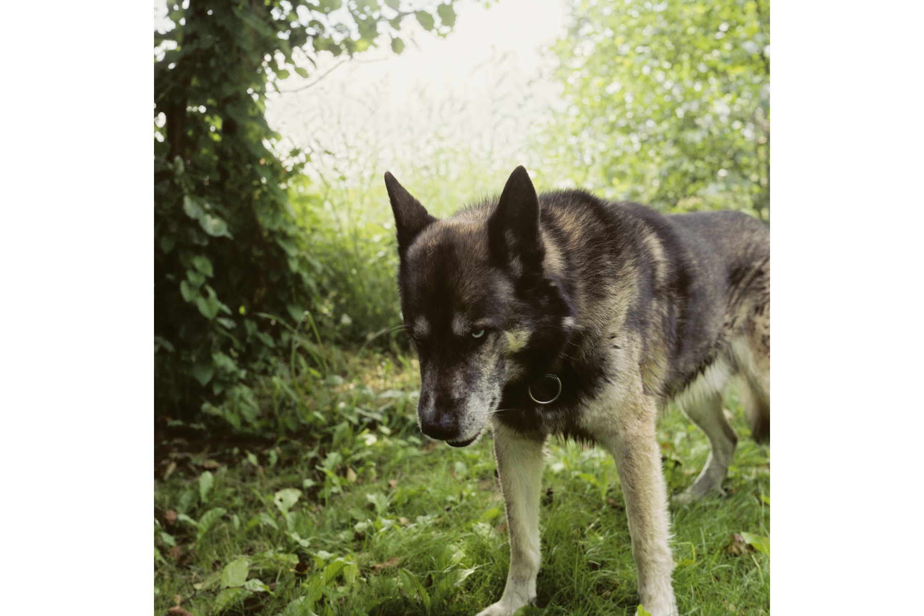 © Conny Höflich, aus der Arbeit "da denk ich, dass ich fliegen kann"